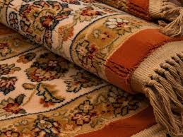 Elegant carpet in living room